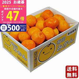 yX[p[SALEʃN[|zΕ ~Mtg a̎RY Lc݂i3kgjs2025N Εpi ցt/Mtg 蕨 lC    MtgZbg lߍ킹 i 