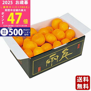 yX[p[SALEʃN[|zΕ ~Mtg QY ̊ۂ݂i2kgjs2025N Εpi ցt/Mtg 蕨 lC    MtgZbg lߍ킹 i 