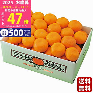 yX[p[SALEʃN[|zΕ ~Mtg ÉY O݂i4kgjs2025N Εpi ցt [50513044]/Mtg 蕨 lC    MtgZbg lߍ킹 