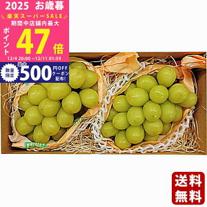 yX[p[SALEʃN[|zΕ ~Mtg 쌧Y VC}XJbgi2[js2025N Εpi ցt/Mtg 蕨 lC    MtgZbg lߍ킹 