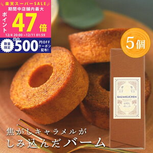 yX[p[SALEʃN[|zXC[c Mtg q X̒ łLݍ񂾃o[ 5r  َq mَq XC[cZbg Hi ϔ o[N[w oEN[w 