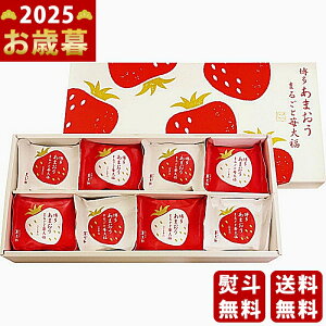 Ε ~Mtg s {V ܂ ܂邲䕑啟s2025N Εpi Ⓚ ցt [YF-MB12]/Mtg 蕨 lC    MtgZbg lߍ킹 i 