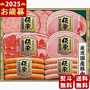 Ε ~Mtg ɓn `Mtgs2025N Εpi ① ցt [TOS-36]/Mtg 蕨 lC    MtgZbg lߍ킹 i ΂ 䈥A i 