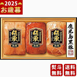 y16܂P5{zΕ ~Mtg ɓn ` ؃Mtgs2025N Εpi ① ցt [DB80]/Mtg 蕨 lC    MtgZbg lߍ킹 i 