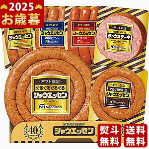 {n Mtg VEGbZs2025N Εpi ① ցt [SEG-500]/Ε Mtg 蕨 lC    MtgZbg lߍ킹 i ~Mtg  