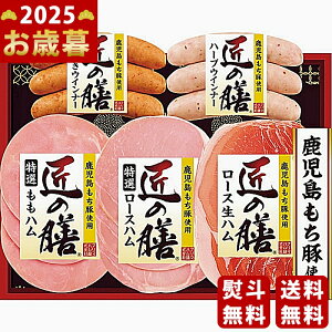 y16܂P5{zΕ ~Mtg v}n ̑VMtgs2025N Εpi ① ցt [TZ-SH]/Mtg 蕨 lC    MtgZbg lߍ킹 i 