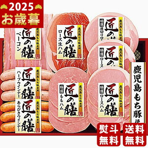 y16܂P5{zΕ ~Mtg v}n ̑VMtgs2025N Εpi ① ցt [TZ-SC]/Mtg 蕨 lC    MtgZbg lߍ킹 i 