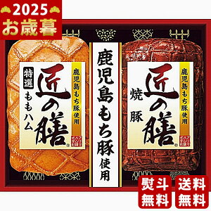 y16܂P5{zΕ ~Mtg v}n ̑VMtgs2025N Εpi ① ցt [TZ-MA]/Mtg 蕨 lC    MtgZbg lߍ킹 i 