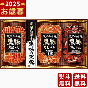 y16܂P5{zΕ ~Mtg Yb̍ nMtgs2025N Εpi ① ցt [BP-57]/Mtg 蕨 lC    MtgZbg lߍ킹 i