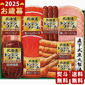 Ε ~Mtg kCgft@[Mtgs2025N Εpi ① ցt [TNB-605]/Mtg 蕨 lC    MtgZbg lߍ킹 i   