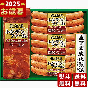 y16܂P5{zΕ ~Mtg kCgft@[ YΏ x[R\[Z[WMtgs2025N Εpi ① ցt [TNJ-45]/Mtg 蕨 lC    Mt