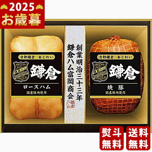 Ε ~Mtg qnx Ósq 킢s2025N Εpi ① ցt [KTS-524]/Mtg 蕨 lC    MtgZbg lߍ킹 i  