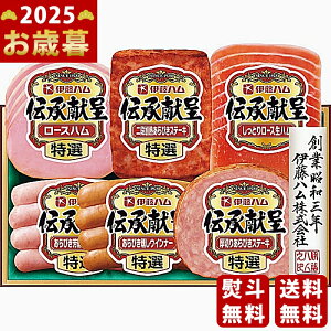 Ε ~Mtg ɓn `Mtgs2025N Εpi ① ցt [TO-42V]/Mtg 蕨 lC    MtgZbg lߍ킹 i   ΂