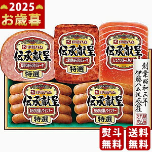 y16܂P5{zΕ ~Mtg ɓn `Mtgs2025N Εpi ① ցt [TO-36V]/Mtg 蕨 lC    MtgZbg lߍ킹 i 