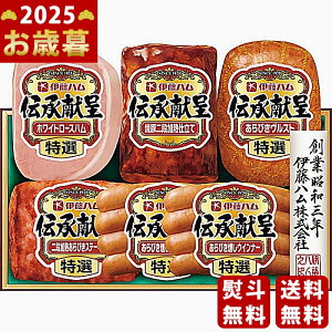 Ε ~Mtg ɓn `Mtgs2025N Εpi ① ցt [TO503]/Mtg 蕨 lC    MtgZbg lߍ킹 i   ΂