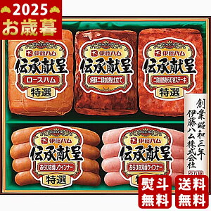 y16܂P5{zΕ ~Mtg ɓn `Mtgs2025N Εpi ① ցt [GM-48]/Mtg 蕨 lC    MtgZbg lߍ킹 i 