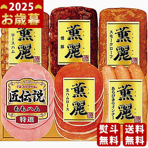 y16܂P5{zΕ ~Mtg v}nMtgs2025N Εpi ① ցt [SD-C]/Mtg 蕨 lC    MtgZbg lߍ킹 i  