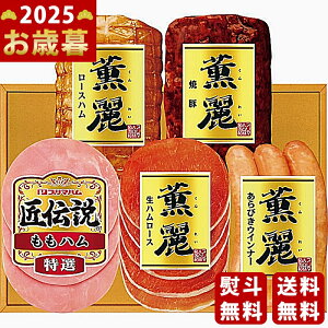 y16܂P5{zΕ ~Mtg v}nMtgs2025N Εpi ① ցt [SD-DO]/Mtg 蕨 lC    MtgZbg lߍ킹 i  