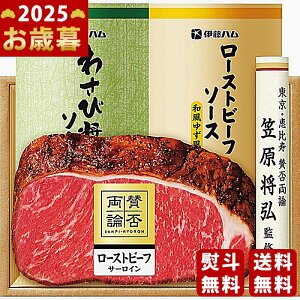 Ε ~Mtg u^ۗ_v ã[Xgr[tT[CMtgs2025N Εpi Ⓚ ցt [WR-501]/Mtg 蕨 lC    MtgZbg lߍ킹 