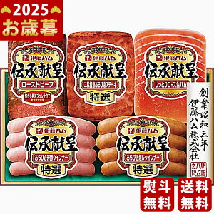 y16܂P5{zΕ ~Mtg ɓn `惍[Xgr[tnMtgs2025N Εpi ① ցt [TOR-40]/Mtg 蕨 lC    MtgZbg l