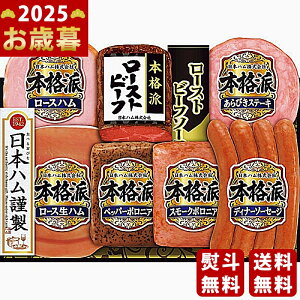 {n {ih [Xgr[ts2025N Εpi ① ցt [NRB-54]/Ε Mtg 蕨 lC    MtgZbg lߍ킹 i ~Mtg  