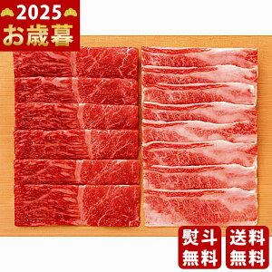 Ε ~Mtg _ˋ Eo Ăpiv500gjs2025N Εpi Ⓚ ցt/Mtg 蕨 lC    MtgZbg lߍ킹 i  