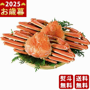 {C킢Ɏpi2t v1kgjs2025N Εpi Ⓚ ցt/Ε Mtg 蕨 lC    MtgZbg lߍ킹 i ~Mtg   