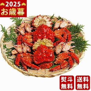 kCY ԍ炪ɂ̃{CJbgi2tjs2025N Εpi Ⓚ ցt/Ε Mtg 蕨 lC    MtgZbg lߍ킹 i ~Mtg  