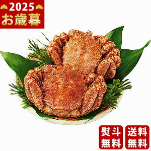 kCY {CуKji2tjs2025N Εpi Ⓚ ցt/Ε Mtg 蕨 lC    MtgZbg lߍ킹 i ~Mtg   ΂