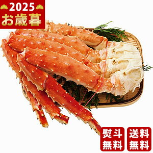 ^oI̋r i1ji800gjs2025N Εpi Ⓚ ցt [TG800]/Ε Mtg 蕨 lC    MtgZbg lߍ킹 i ~Mtg  