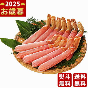 吶킢ɋr|[Vi500gjs2025N Εpi Ⓚ ցt [P500G]/Ε Mtg 蕨 lC    MtgZbg lߍ킹 i ~Mtg  