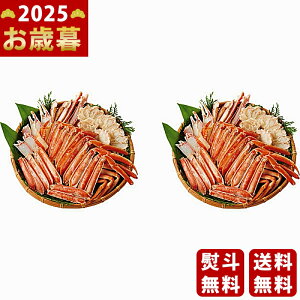 {C킢ɔނgi1.2kgjs2025N Εpi Ⓚ ցt/Ε Mtg 蕨 lC    MtgZbg lߍ킹 i ~Mtg   