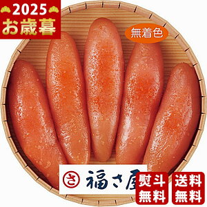  Fhqqi240gjs2025N Εpi Ⓚ ցt [MRM240]/Ε Mtg 蕨 lC    MtgZbg lߍ킹 i ~Mtg  