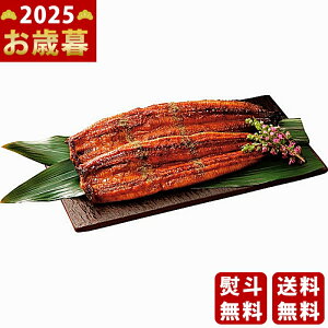 XW YȂāiāji2js2025N Εpi Ⓚ ցt/Ε Mtg 蕨 lC    MtgZbg lߍ킹 i ~Mtg  