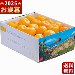 Ε ~Mtg QFaY B݂i3kgjs2025N Εpi ցt/Mtg 蕨 lC    MtgZbg lߍ킹 i ΂ 䈥A i 