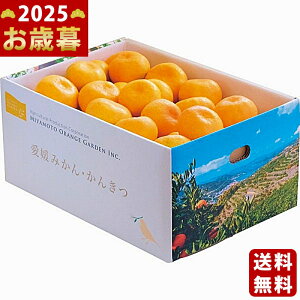 Ε ~Mtg QFaY B݂i5kgjs2025N Εpi ցt/Mtg 蕨 lC    MtgZbg lߍ킹 i ΂ 䈥A i 