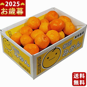 a̎RY Lc݂i3kgjs2025N Εpi ցt/Ε Mtg 蕨 lC    MtgZbg lߍ킹 i ~Mtg   ΂ 䈥