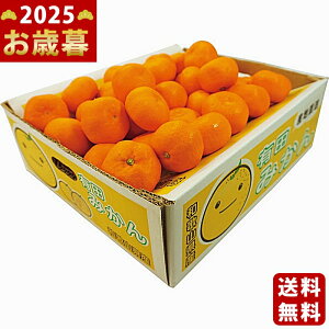 a̎RY Lc݂i5kgjs2025N Εpi ցt/Ε Mtg 蕨 lC    MtgZbg lߍ킹 i ~Mtg   ΂ 䈥