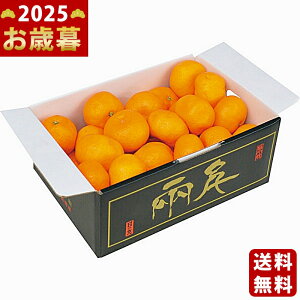 QY ̊ۂ݂i2kgjs2025N Εpi ցt/Ε Mtg 蕨 lC    MtgZbg lߍ킹 i ~Mtg   ΂ 䈥