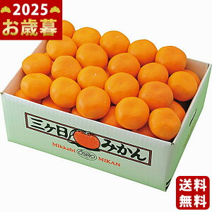 Ε ~Mtg ÉY O݂i4kgjs2025N Εpi ցt [50513044]/Mtg 蕨 lC    MtgZbg lߍ킹 i ΂ 䈥A i 