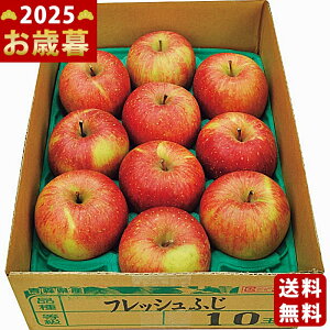 Ε ~Mtg XY tƂ炸Tӂi2.8kgjs2025N Εpi ցt/Mtg 蕨 lC    MtgZbg lߍ킹 i ΂ 䈥A i 