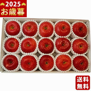 Ε ~Mtg 쌧Y Tӂ񂲁i3.4kgjs2025N Εpi ցt/Mtg 蕨 lC    MtgZbg lߍ킹 i ΂ 䈥A i 