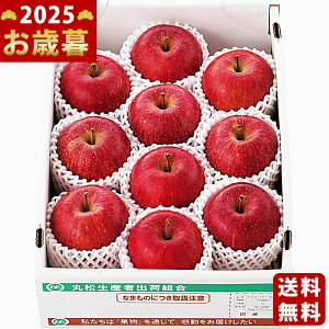 Ε ~Mtg R`Y Tӂ񂲁i3kgjs2025N Εpi ցt [15252021-3]/Mtg 蕨 lC    MtgZbg lߍ킹 i ΂ 䈥A 