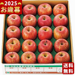 Ε ~Mtg R`Y Tӂ񂲁i5kgjs2025N Εpi ցt [1525201]/Mtg 蕨 lC    MtgZbg lߍ킹 i   