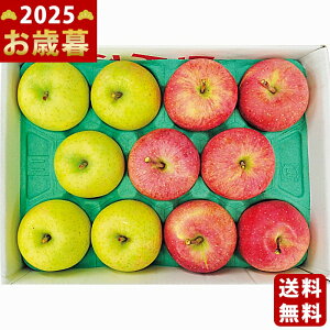 XY Tӂ񂲁сi3kgjs2025N Εpi ցt/Ε Mtg 蕨 lC    MtgZbg lߍ킹 i ~Mtg   