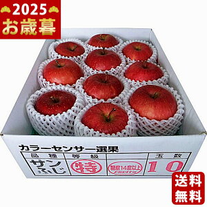 Ε ~Mtg XY x14xȏTӂ i2.5kgjs2025N Εpi ցt [142.5KG]/Mtg 蕨 lC    MtgZbg lߍ킹 i ΂ 