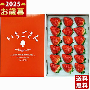 Ε ~Mtg ꌧY i400gjs2025N Εpi ցt/Mtg 蕨 lC    MtgZbg lߍ킹 i   ΂ 䈥