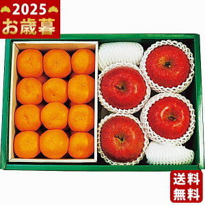 Lc݂ETӂ񂲁s2025N Εpi ցt/Ε Mtg 蕨 lC    MtgZbg lߍ킹 i ~Mtg   ΂