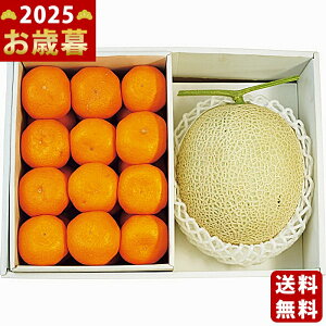 Ε ~Mtg Y}XN1ʁEa̎RY݂s2025N Εpi ցt/Mtg 蕨 lC    MtgZbg lߍ킹 i   