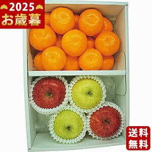 Lc݂ETӂ񂲁Eт񂲁s2025N Εpi ցt/Ε Mtg 蕨 lC    MtgZbg lߍ킹 i ~Mtg   